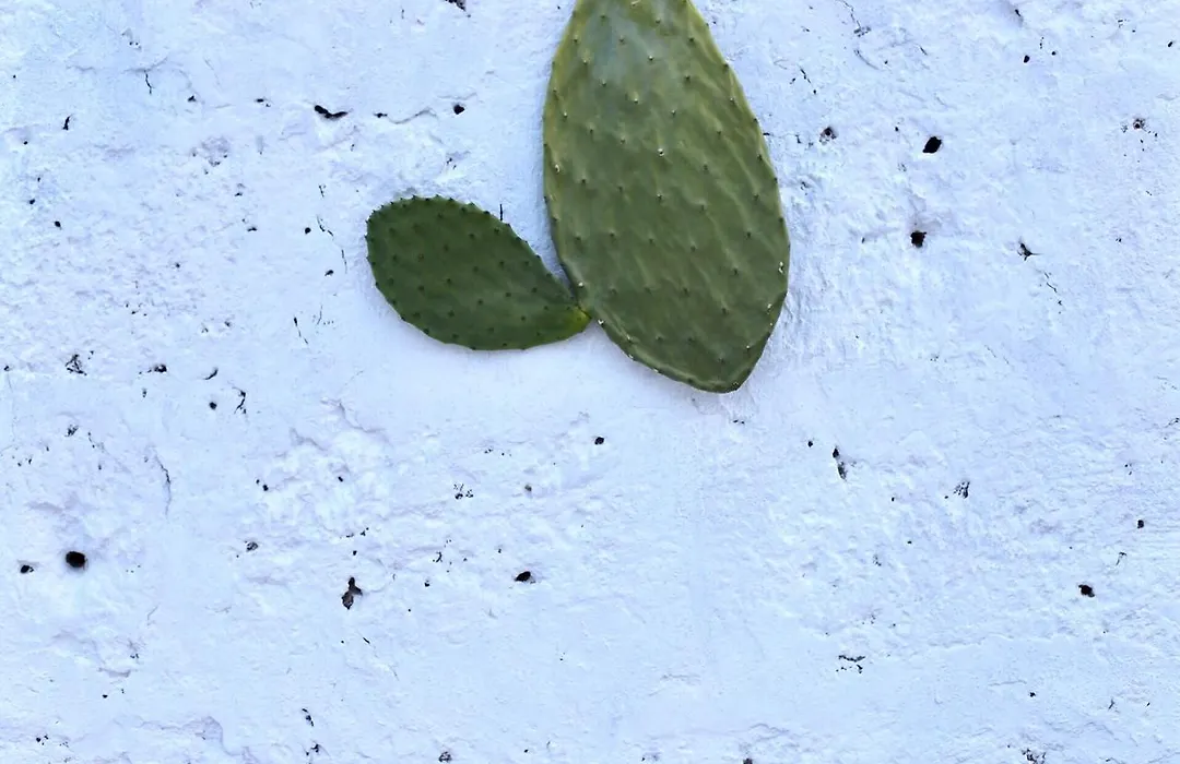 La Mitria-1